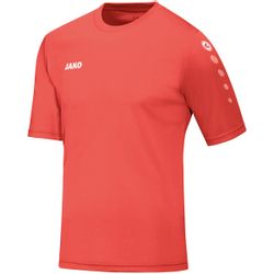 Jako Fußballtrikot 4233 Trikot Team KA günstig online kaufen