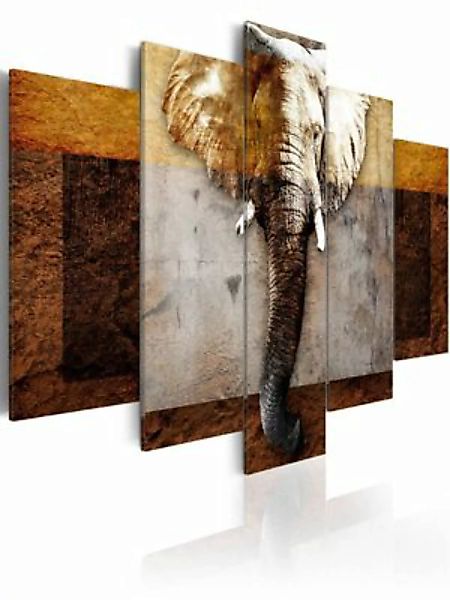 artgeist Wandbild Strength of Africa mehrfarbig Gr. 200 x 100 günstig online kaufen
