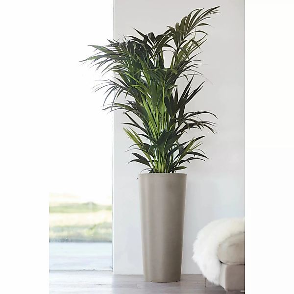 Ecopots Pflanztopf Amsterdam hoch Braungrau 70 cm günstig online kaufen