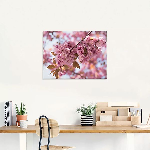 Artland Glasbild "Japanische Kirschblüte in Love I", Blumen, (1 St.), in ve günstig online kaufen