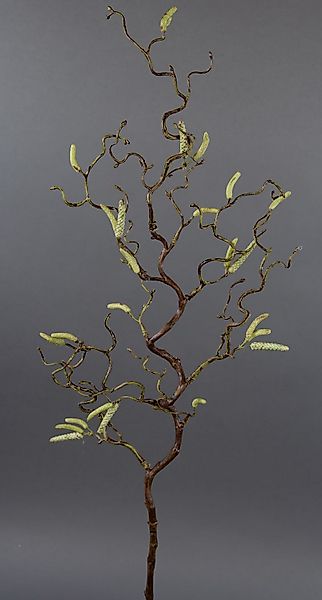 Kunstzweig Korkenzieherzweig / Haselnusszweig GA Kunstzweig günstig online kaufen