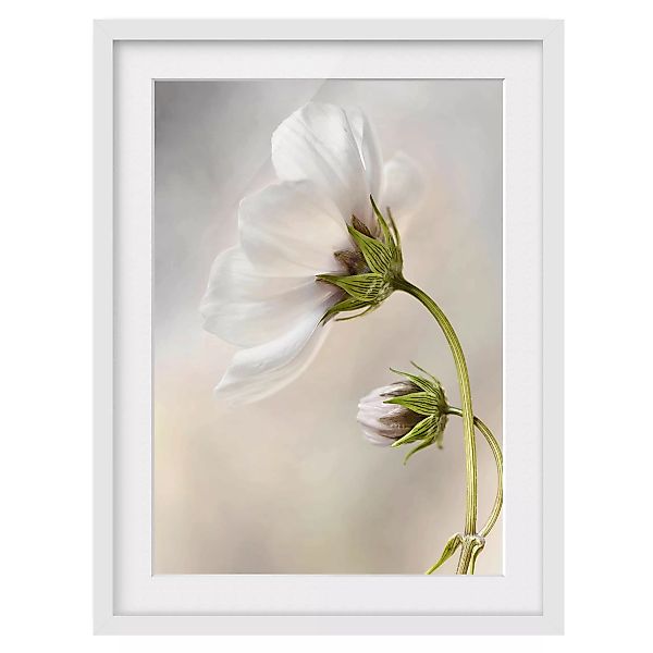 home24 Bild Himmlischer Blütentraum II günstig online kaufen