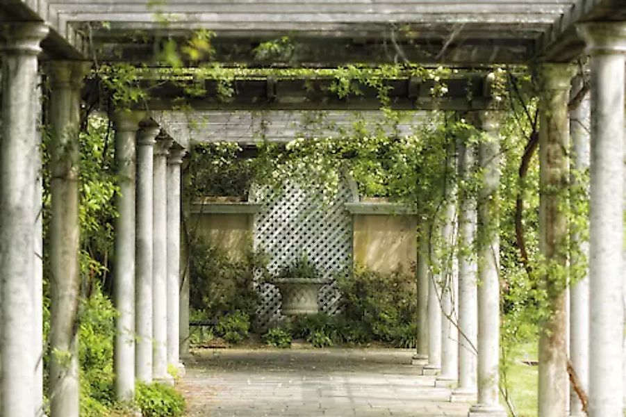 Papermoon Fototapete »Walkway in Garden« günstig online kaufen