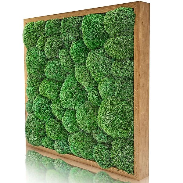 naturewalls Bild Moosbild Kugelmoos - Pflanzenbild günstig online kaufen