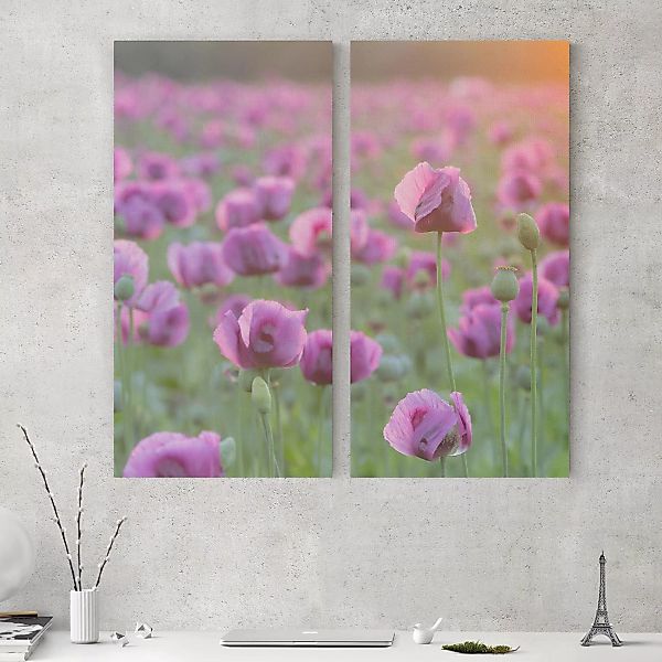 2-teiliges Leinwandbild Blumen - Quadrat Violette Schlafmohn Blumenwiese im günstig online kaufen