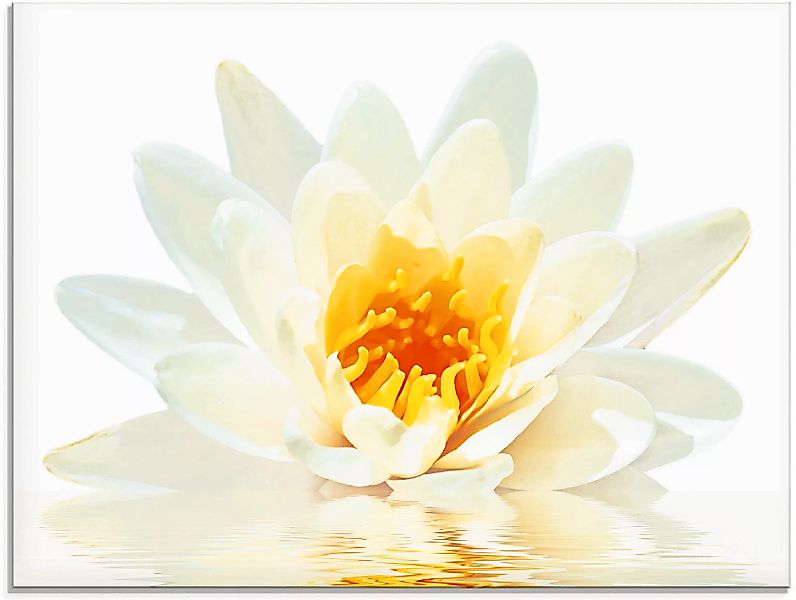 Artland Glasbild "Lotusblume schwimmt im Wasser", Blumen, (1 St.), in versc günstig online kaufen