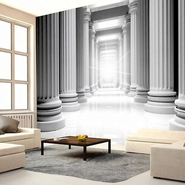 artgeist Fototapete Ancient parthenon grau Gr. 350 x 245 günstig online kaufen
