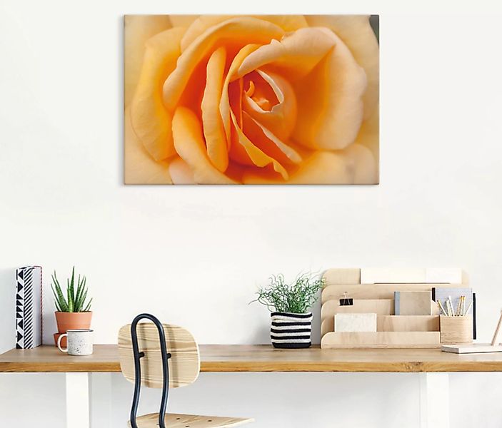 Artland Wandbild "Zarte Rose in Orange", Blumenbilder, (1 St.) günstig online kaufen