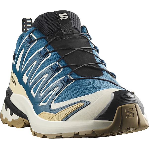 Salomon XA PRO 3D V9 GORE-TEX Laufschuh wasserdicht günstig online kaufen
