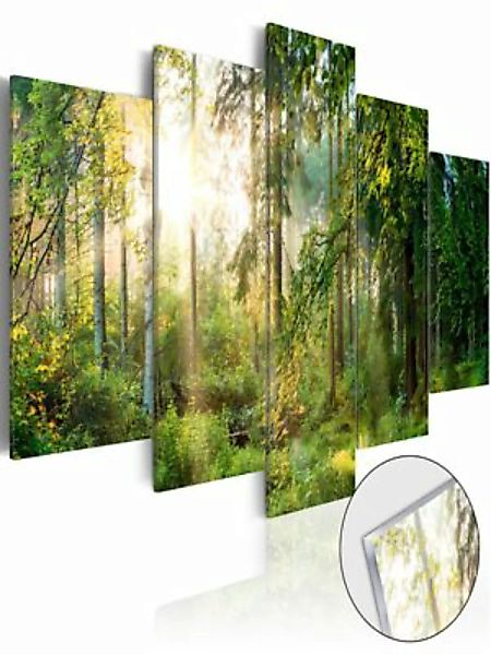 artgeist Acrylglasbild Green Sanctuary [Glass] mehrfarbig Gr. 200 x 100 günstig online kaufen