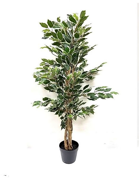 Kunstpflanze Melinera Kunstpflanzen Pflanze Ficus Höhe 120cm Topf 17 cm det günstig online kaufen