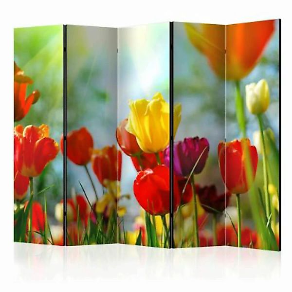 artgeist Paravent Spring Tulips II [Room Dividers] mehrfarbig Gr. 225 x 172 günstig online kaufen