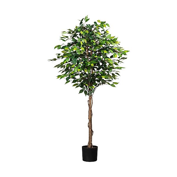 Kunstpflanze Ficus Benjaminus grün Kunststoff B/H/L: ca. 25x170x25 cm günstig online kaufen