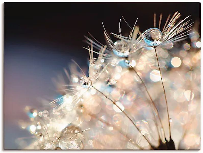 Artland Wandbild »Pusteblume Fantasie« 1 Stk. tlg. als Alubild, Outdoorbild günstig online kaufen