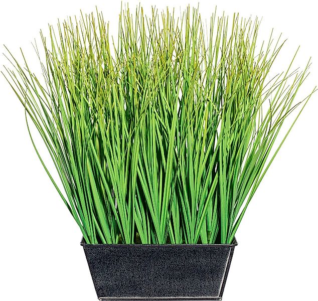 Kunstgras Gras Gras, Creativ green, Höhe 30 cm günstig online kaufen