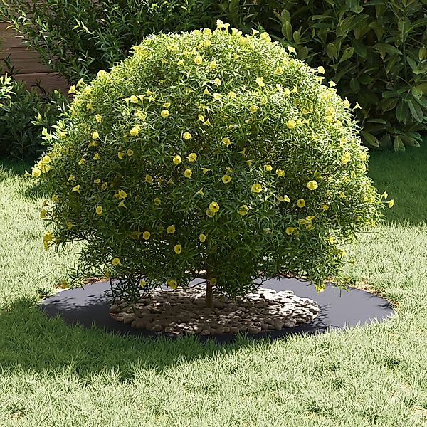 vidaXL Blumentopf Kunststoffpflanzer Anthrazit Langlebiger Kunststoff günstig online kaufen
