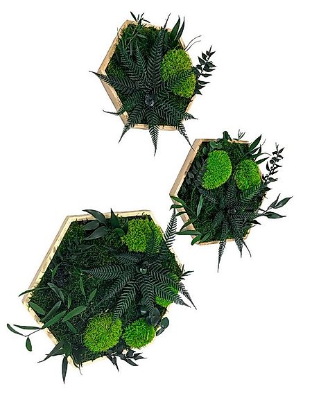 Gedankenwunder Manufaktur Bild Kleine Dschungelblume & Pflanzen Moosbild He günstig online kaufen