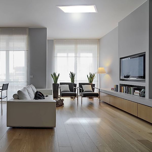 LED-Panel 1298003 zum Ein- oder Aufbau, 60x30 cm günstig online kaufen