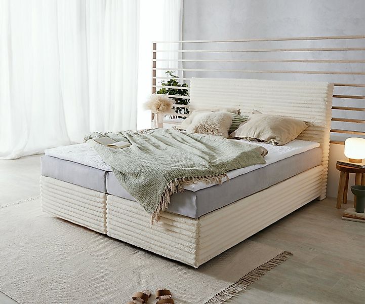 DELIFE Boxspringbett Dream-Well, Plüsch-Cord Beige 160x200 günstig online kaufen
