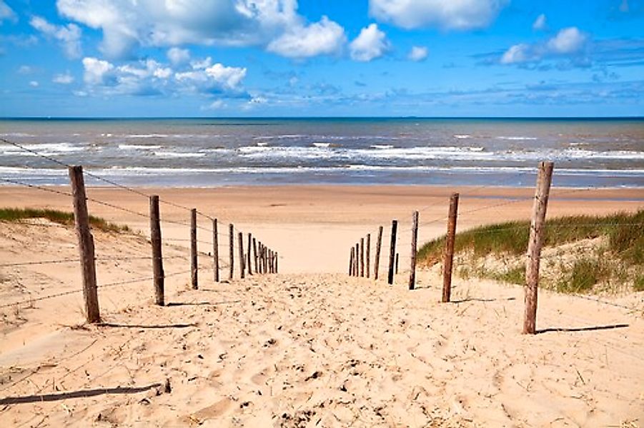 Papermoon Fototapete »Weg zum Sandstrand« günstig online kaufen