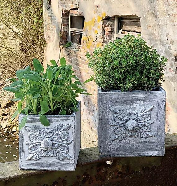Schublade zum Bepflanzen 2 Stück Pflanzschublade Holz Blumentopf Set Grau günstig online kaufen