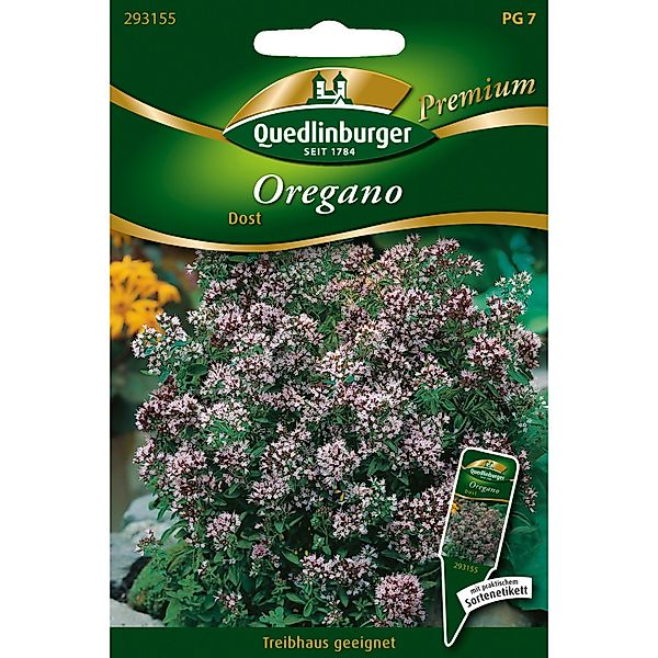 Quedlinburger Oregano Loses Saatgut günstig online kaufen
