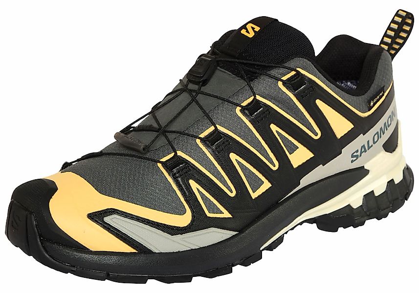 Salomon Laufschuh "XA PRO 3D V9 GORE-TEX" wasserdicht günstig online kaufen