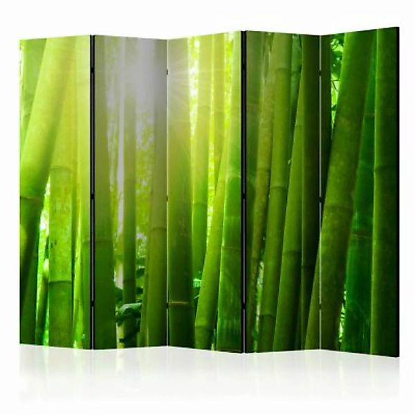 artgeist Paravent Sun and bamboo II [Room Dividers] grün Gr. 225 x 172 günstig online kaufen