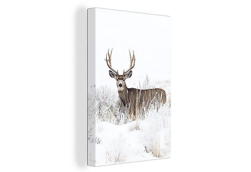 OneMillionCanvasses® Leinwandbild Hirsche - Winter - Schnee - Tiere - Jahre günstig online kaufen