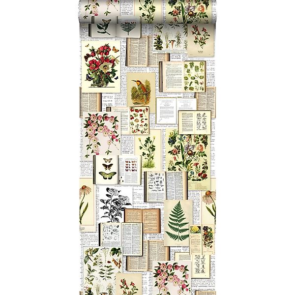 ESTAhome XXL Vliestapete Seiten Aus Botanischen Büchern Crème Beige Grün Br günstig online kaufen