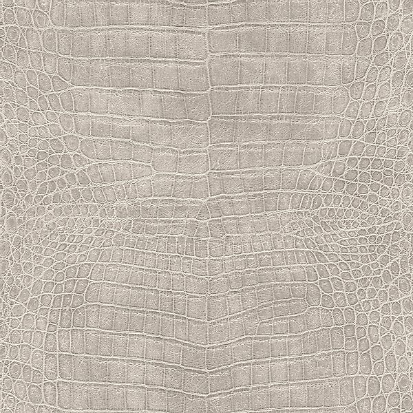 Rasch Vliestapete Vinyltapete Rasch Muster & günstig online kaufen