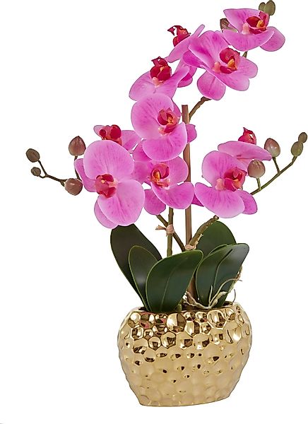 Kunstpflanze Orchidee Orchidee, Leonique, Höhe 38 günstig online kaufen