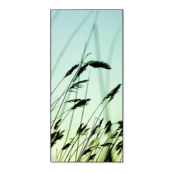 Banjado Magnettafel 37x78cm Magnetwand  Schwarz Aus Metall Magnetpinnwand P günstig online kaufen