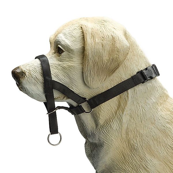 Beeztees Hunde-Erziehungsgeschirr Nasenband Dog Control schwarz günstig online kaufen