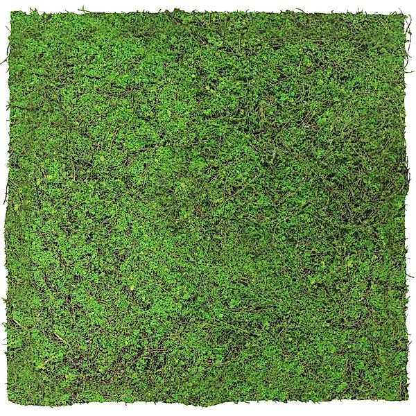 Jangal Wandpaneel Modular Wall Forest Green Ancient Tree 52 x 52 cm günstig online kaufen
