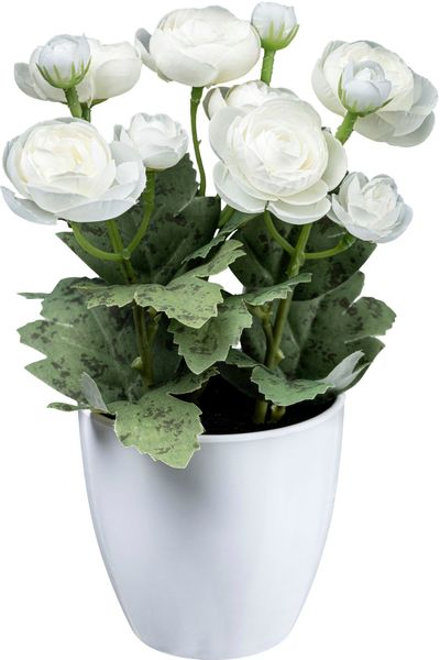 Kunstblume Ranunkel Mohn, Creativ green, Höhe günstig online kaufen