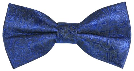 Paul Malone Fliege Herren Schleife modern günstig online kaufen