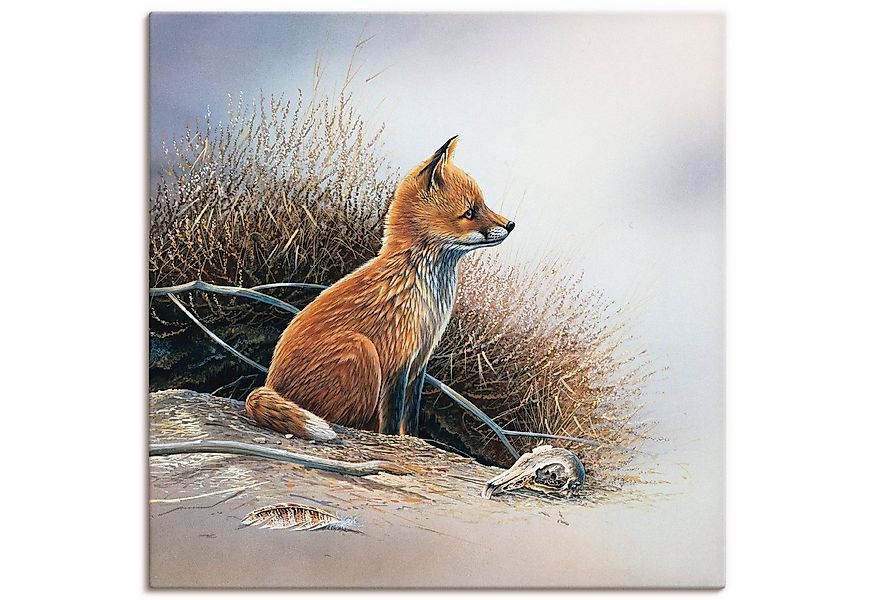 Artland Leinwandbild Kleiner Fuchs, Wildtiere (1 St), auf Holzrahmen gespan günstig online kaufen