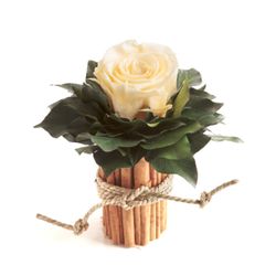 Kunstblumenstrauß Blumenstrauß Zimtbecher Infinity Rosen Blumengesteck, günstig online kaufen