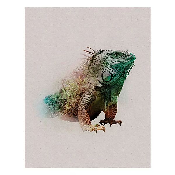 Komar Wandbild Animals Paradise Iguana Tiere B/L: ca. 40x50 cm günstig online kaufen