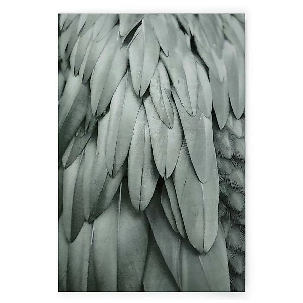 Bricoflor Leinwandbild Salbeigrün Deko Wandbild Mit Federn Grün Grau 80 X 1 günstig online kaufen