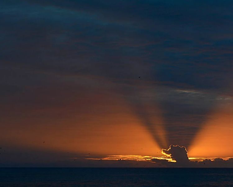 Fototapete "Great Sunset" 4,00x2,50 m / Glattvlies Perlmutt günstig online kaufen