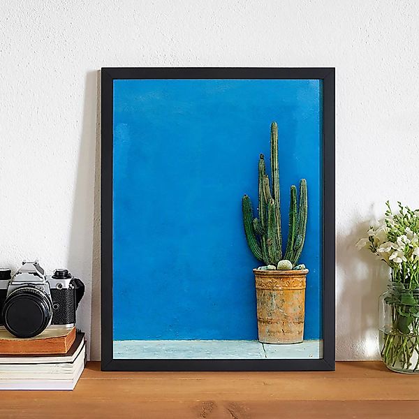 home24 Bild Blue Wall with Cactus günstig online kaufen