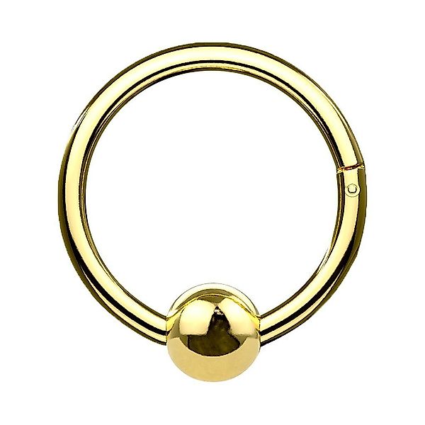Taffstyle Nasenpiercing Piercing Segmentring Scharnier Clicker günstig online kaufen