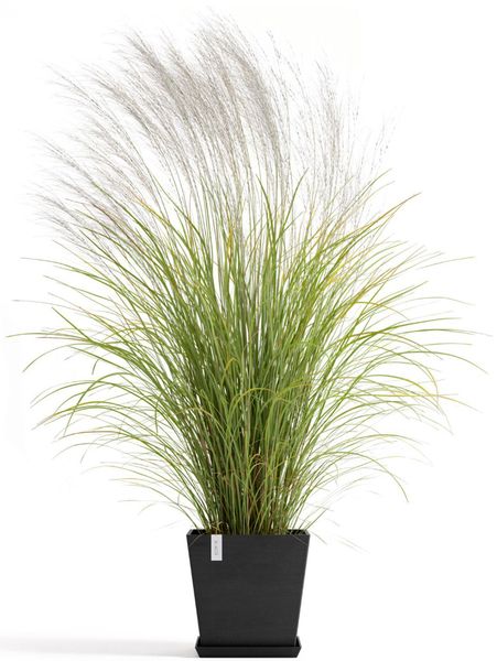 ECOPOTS Blumentopf Rotterdam 35 + Wassersystem günstig online kaufen