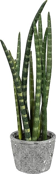 Kunstpflanze Sanseveria, Creativ green, Höhe 46 günstig online kaufen