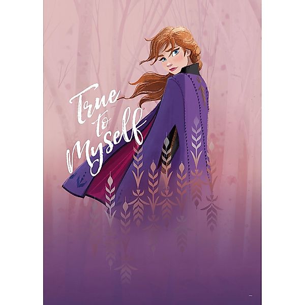 Komar Bild "Frozen Anna True to Myself" Disney 1 Stk. tlg. Wandbild zur Dek günstig online kaufen