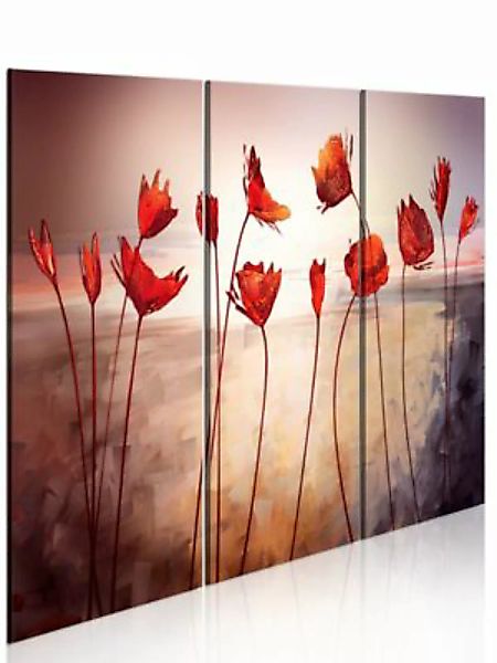 artgeist Wandbild Bright red poppies mehrfarbig Gr. 60 x 40 günstig online kaufen