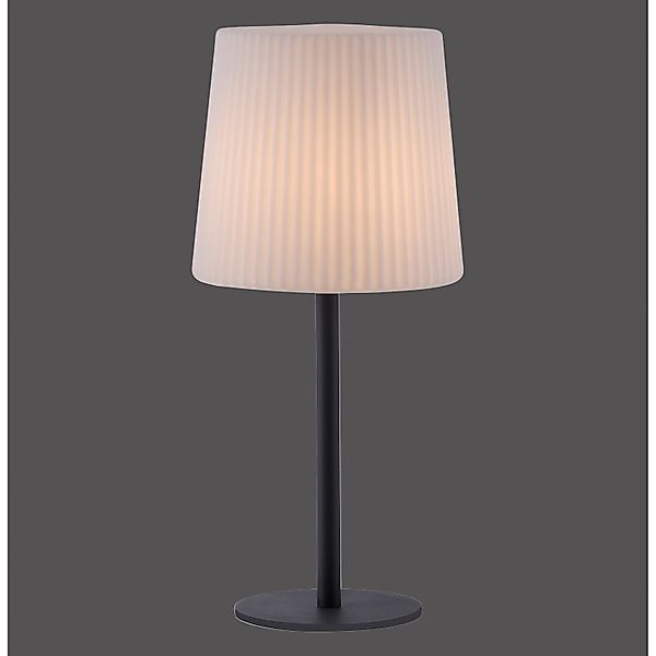 Paul Neuhaus Tischleuchte Falter Anthrazit 28 x 60 cm günstig online kaufen