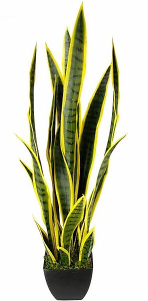Kunstpflanze Senseverie Senseverie, I.GE.A., Höhe 85 cm günstig online kaufen